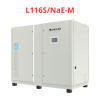 L116S/NaE-M